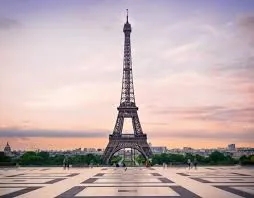 Paris Mayoral Election