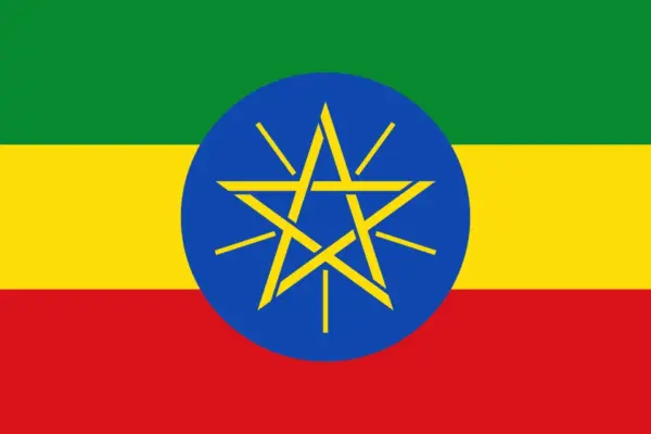 Next Prime Minister of Ethiopia?