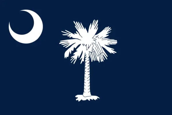 South Carolina Special Senate Republican Primary: Runoff Margin of Victory